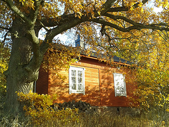 artikkelikuva 01
